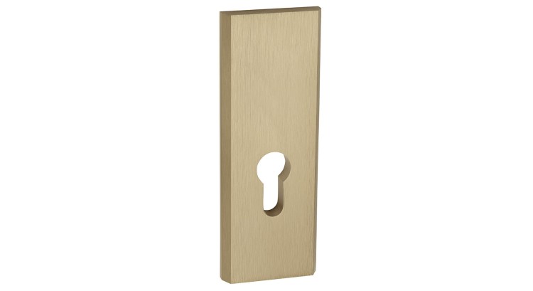 Szyld  zewnętrzny do drzwi  NEO/THEO Patyna