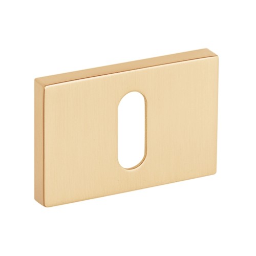 Rozeta R76F złoty-satyna klucz